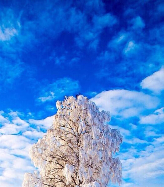 广东天枢新能源科技有限公司