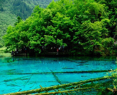 百汇科技有限公司