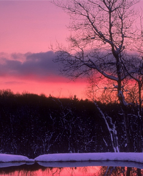 100米跨栏有多少个栏