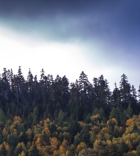 徐州永固桩业科技有限公司怎么样