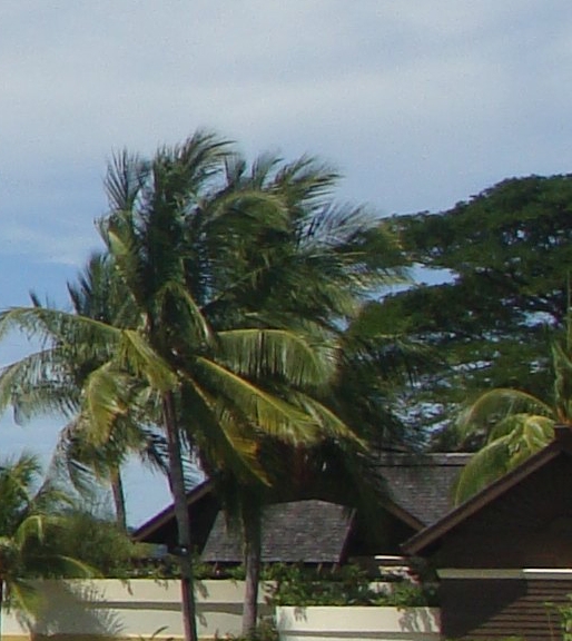 无限世界大反派