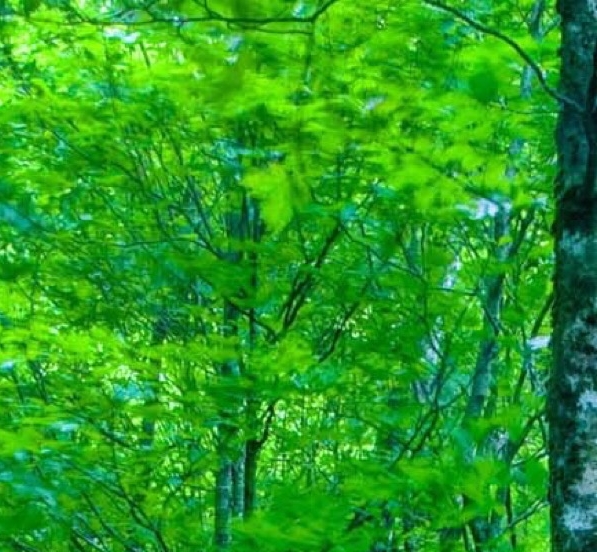 重生平凡的世界的重生平凡的世界介绍