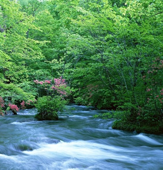 世界汽车品牌排行榜前20名