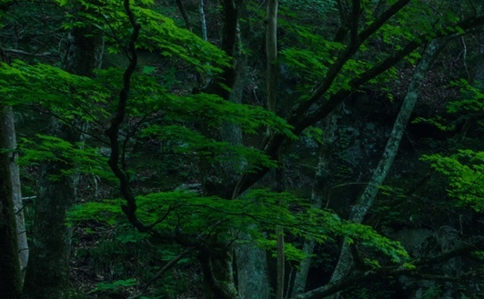 重庆云网科技市值