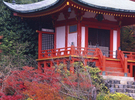 魔兽术士宠物