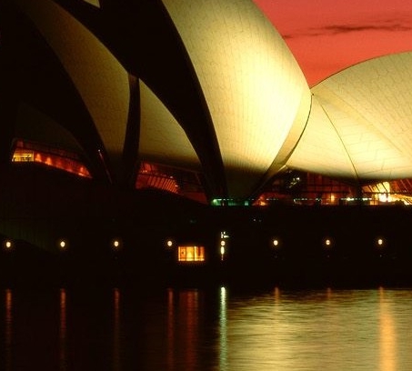 奇怪生物图片吓死人