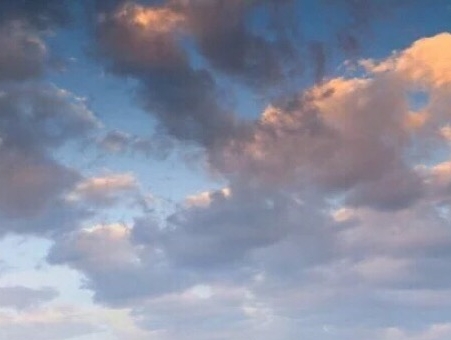 上海来维科技有限公司