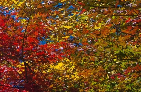 西游记二零一零版