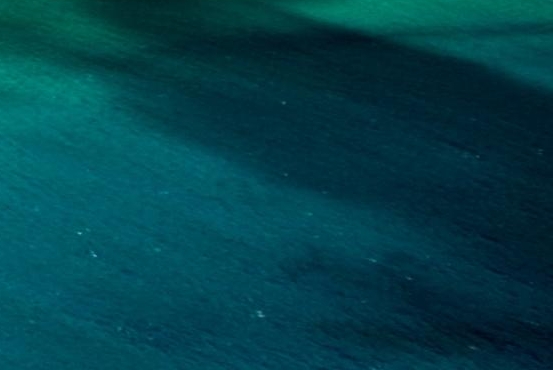 中国青少年科技协会