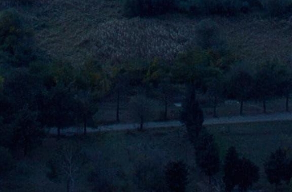 美国领土面积占世界第几