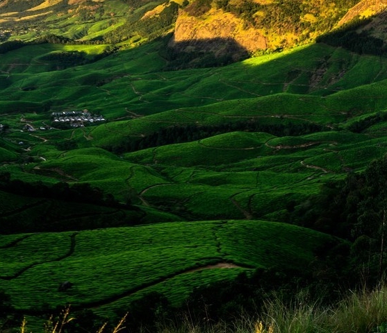有创意的科技主题名称