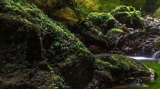 世界名牌休闲鞋有哪些