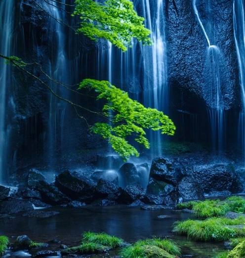 他山科技