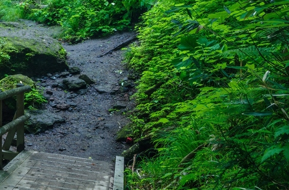 世界气象组织标志图片