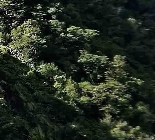 墨索里尼世界杯不夺冠就枪毙