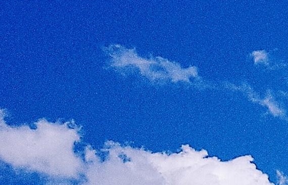 世界上最大的大便是谁拉的