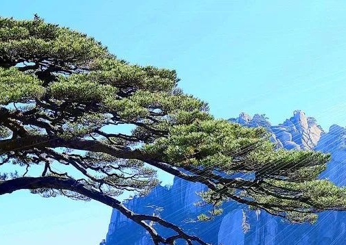 不好的奖项名称