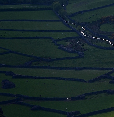 魔兽世界军衔等级需要的荣誉