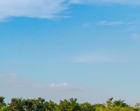 我的世界的动漫