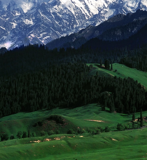 悲惨世界25周年纪念演唱会 演员