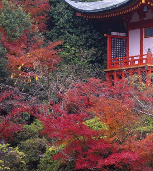 张核子祖籍是哪里的