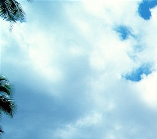 合肥经纬电子科技有限公司宿舍