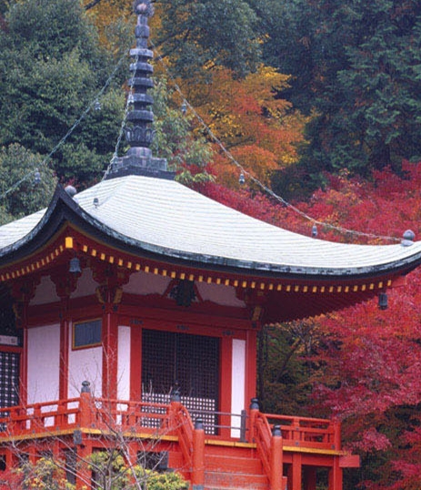 韩国官方世界地图