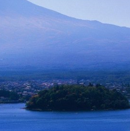 世界上面积最大的森林是泰加林还是印尼森林