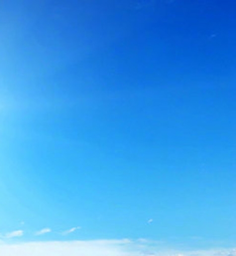 世界上最懒的人叫什么名字