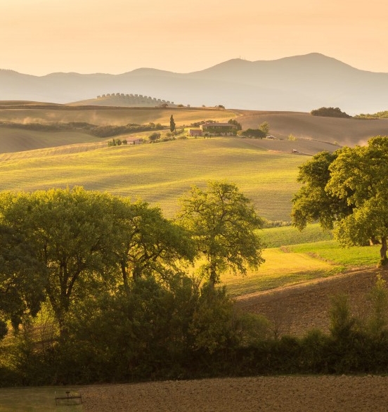 科技创新论文800字