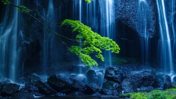 小牛在线