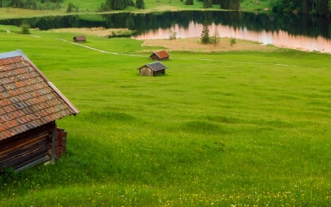 我的神奇宝贝世界