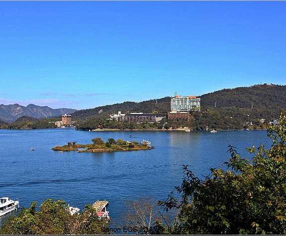 世名科技股吧：世名科技(300522)股吧千评闪耀，引领投资者的热议