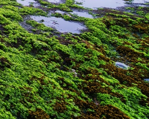 虚拟世界用英语怎么说和虚拟世界用英语怎么说详解