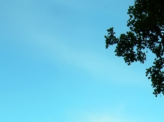 世界上最吓人的人