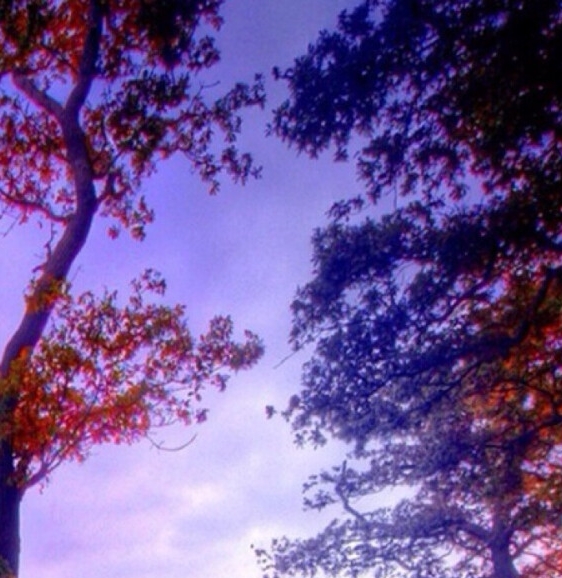 国光1937科技文化创意园