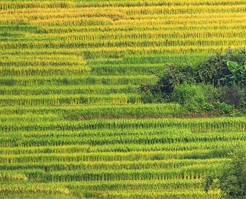 宝宝一周岁创意艺术照