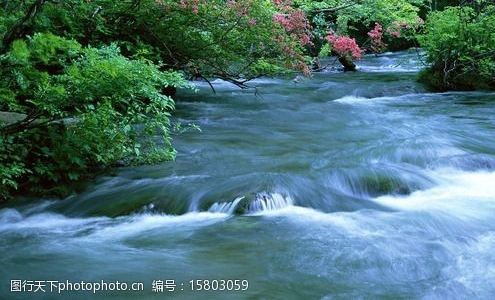 世界银行英文缩写