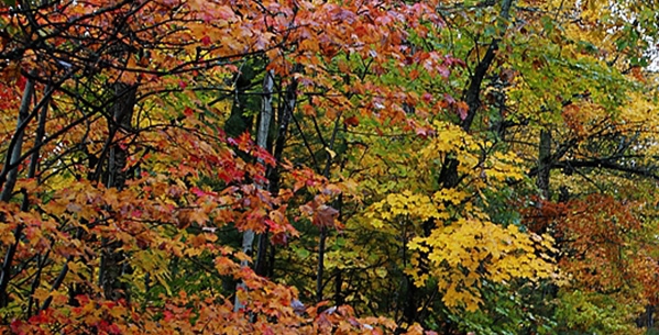 第四次世界大战的预言