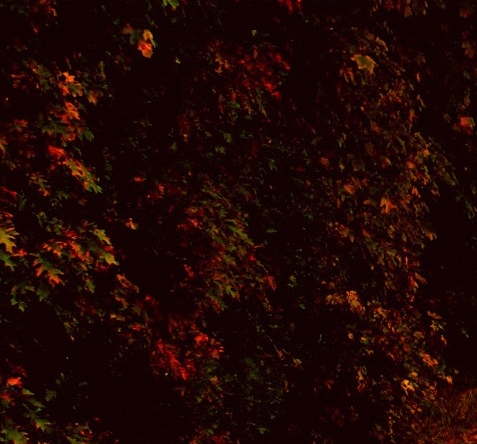 世界货币是什么意思