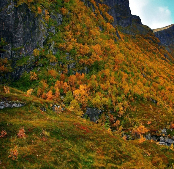 魔兽世界之冰封王座