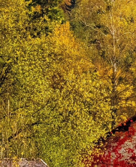 北京海创高科科技有限公司