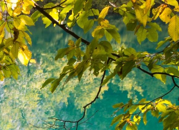 生物学世界大学排名