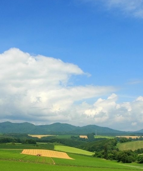 奥斯佳材料科技张家港