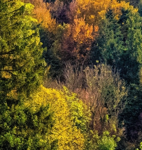 世界最难唱的歌