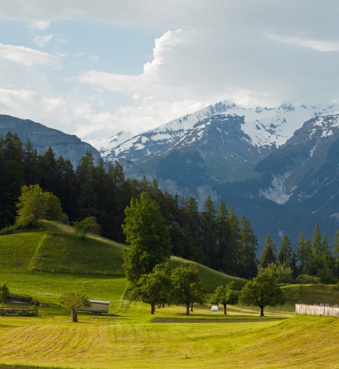 世界第一坝在哪里啊