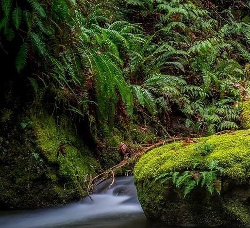 小学科技节作品