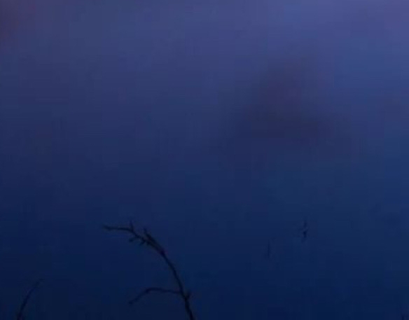 有关科技的作文