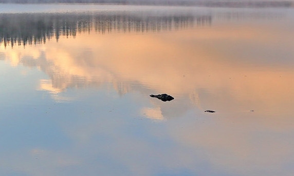 世界上最帅气的男人
