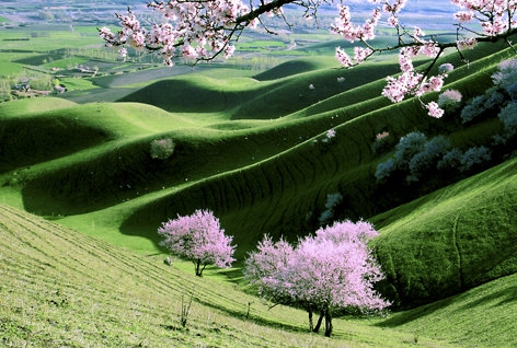 木鱼和小铃铛迷你世界